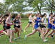 Varsity girls are off at the start of the SCC high school cross country championships at East Shore Park in New Haven, Conn., Wednesday, October 15, 2025.