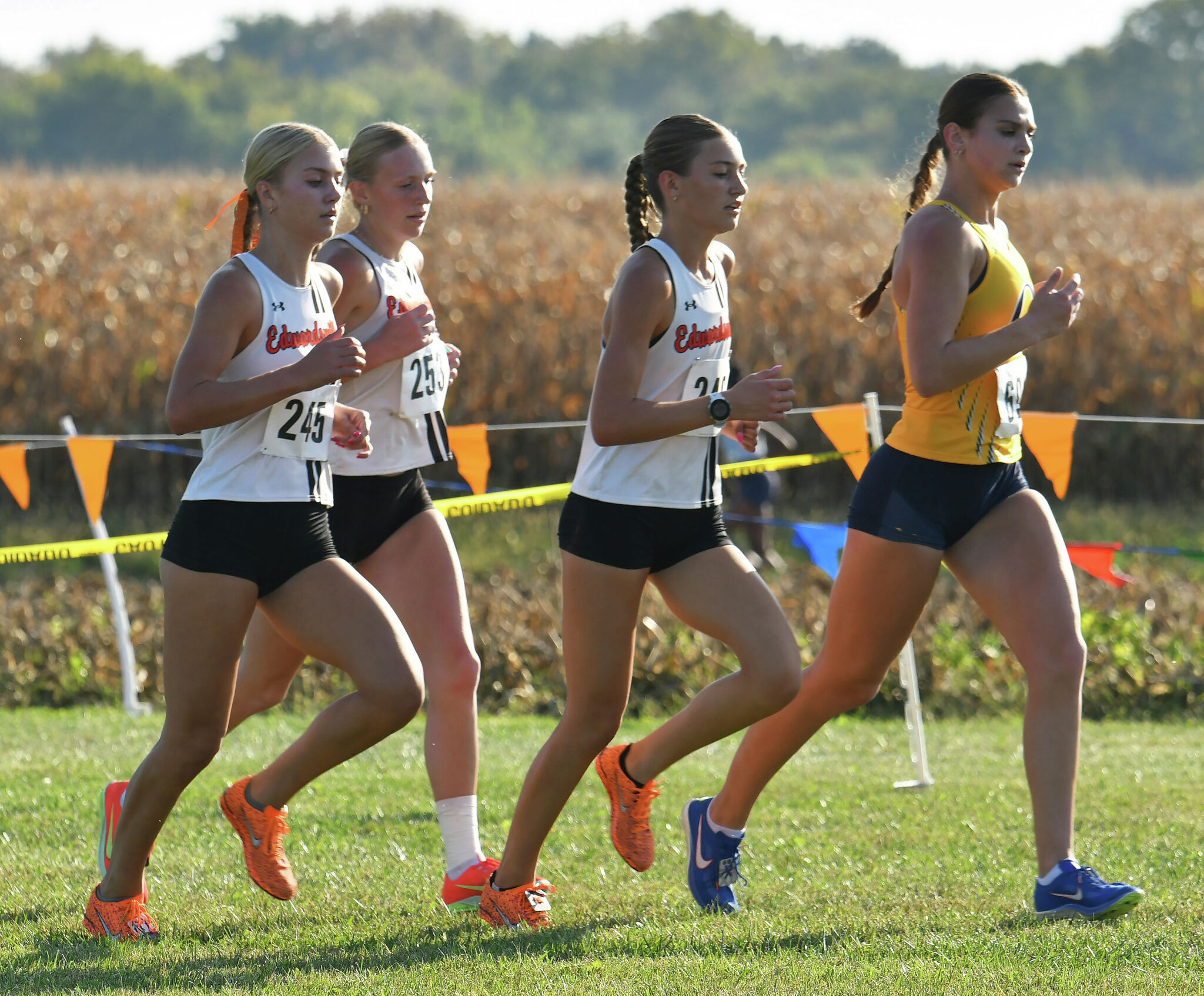Area cross country runners ready for state meet