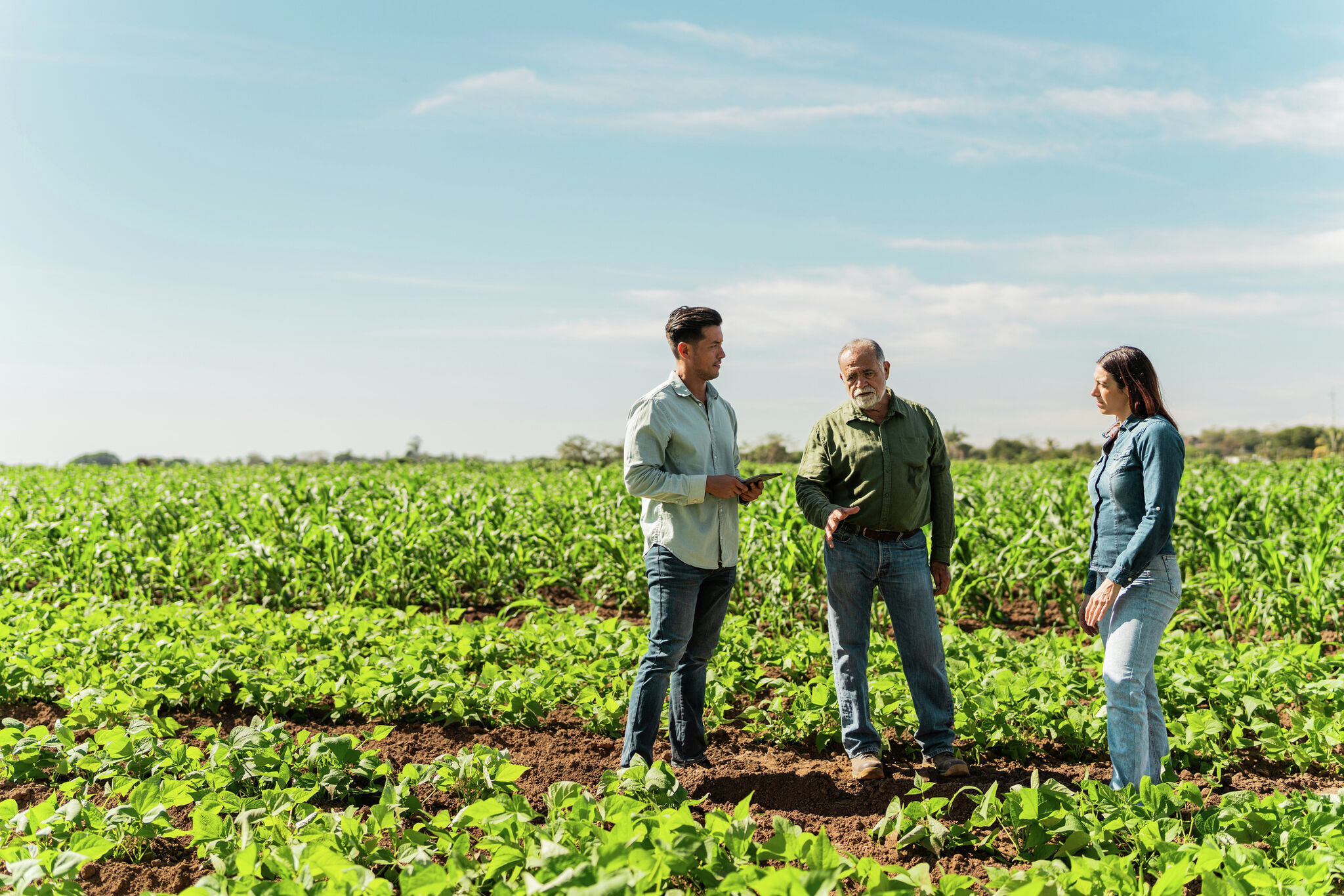 Michigan awards $2.08M for 22 specialty crop projects