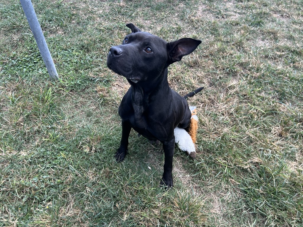 nederland-football-team-schedule-players-to-watch-in-2024