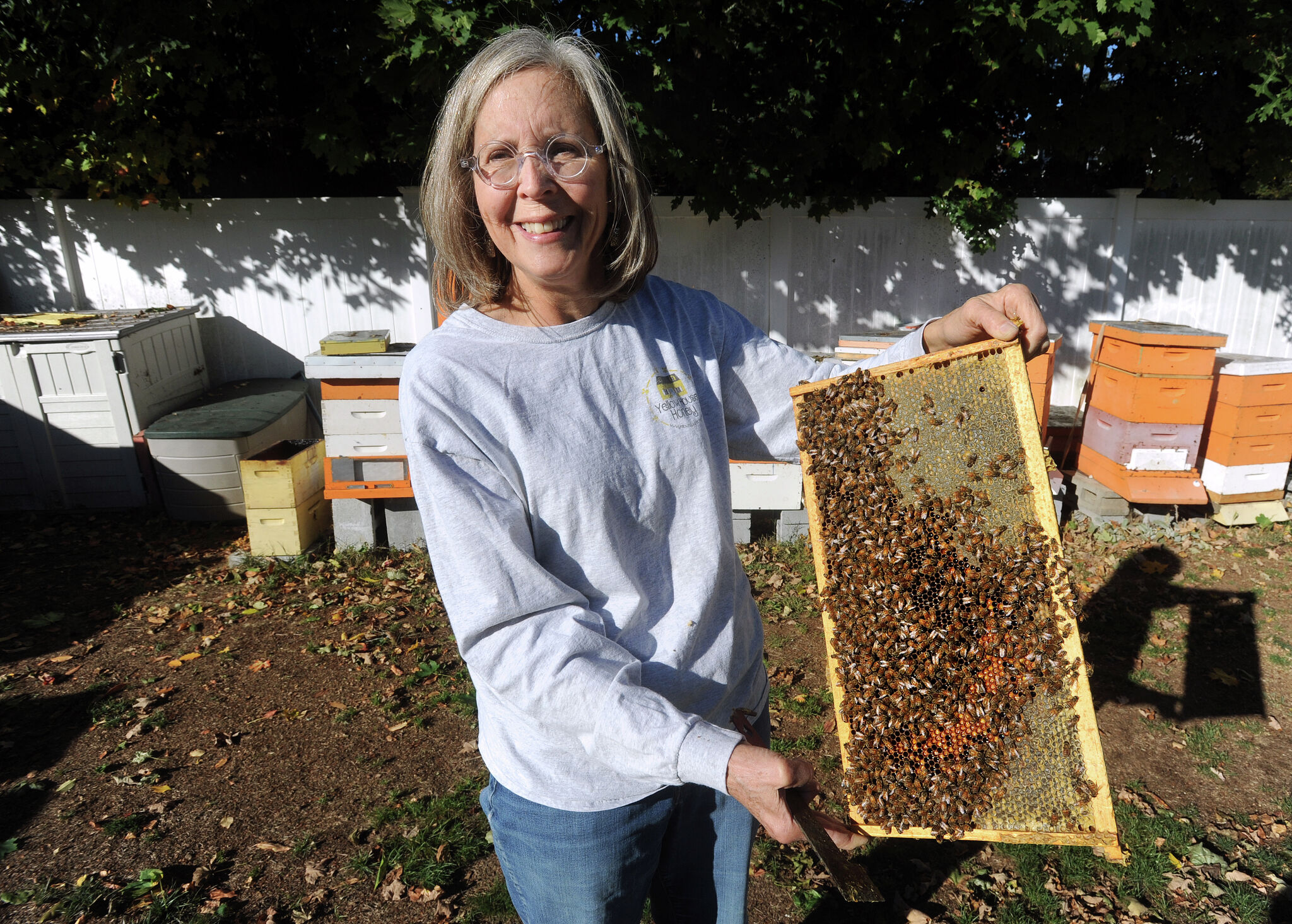 CT’s commercial beekeepers face record hive losses as honeybee populations plummet nationwide