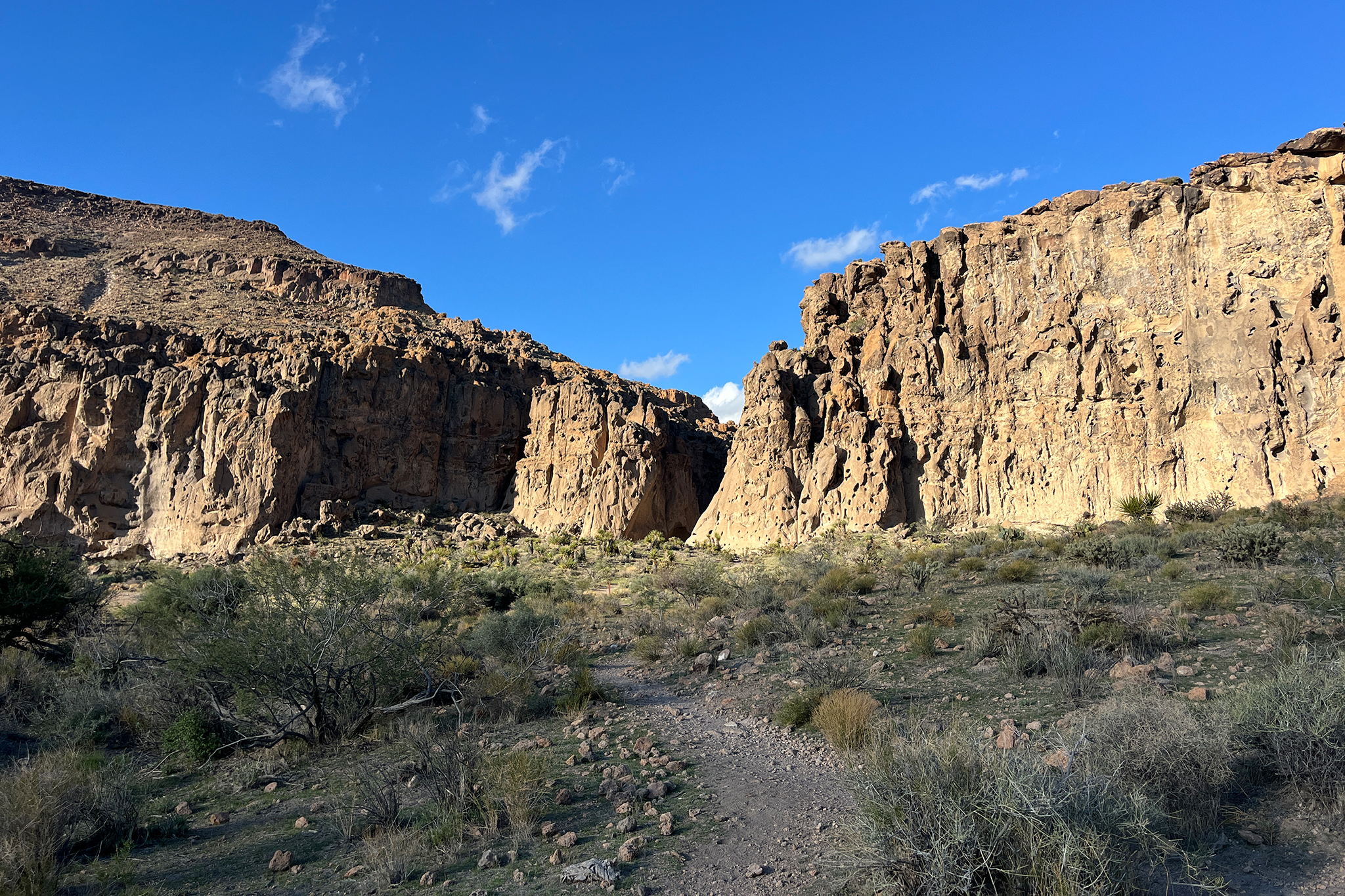 Not far from I-40, a Calif. desert hike 18 million years in the making