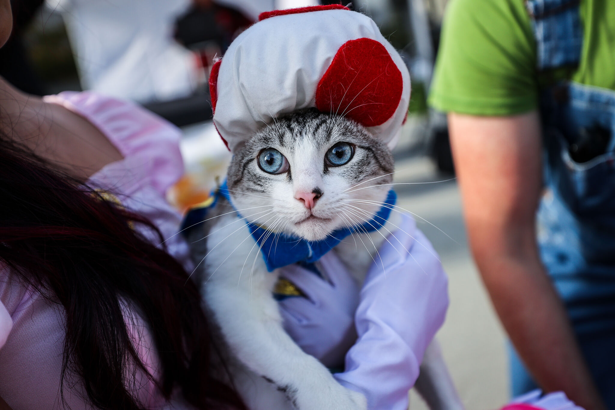 Popular Halloween costumes 2025 - witches and Spider-Man