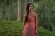 This image released by Apple TV+ shows Luciane Buchanan in a scene from "Chief of War." (Apple TV+ via AP)