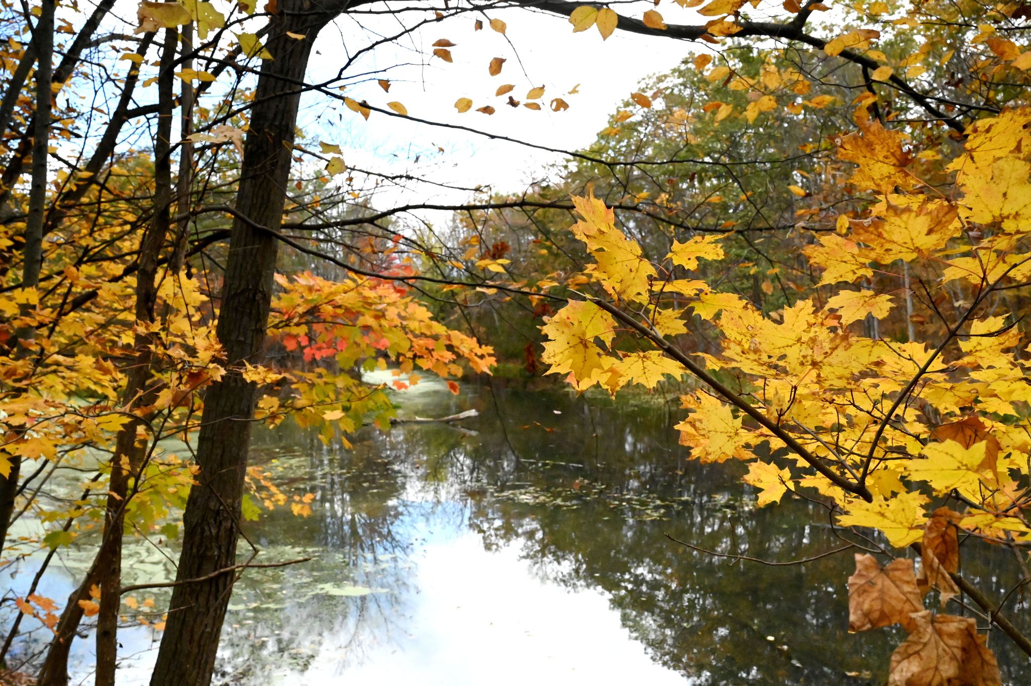 Some relief amid NY's worsening drought, cool weather may be coming