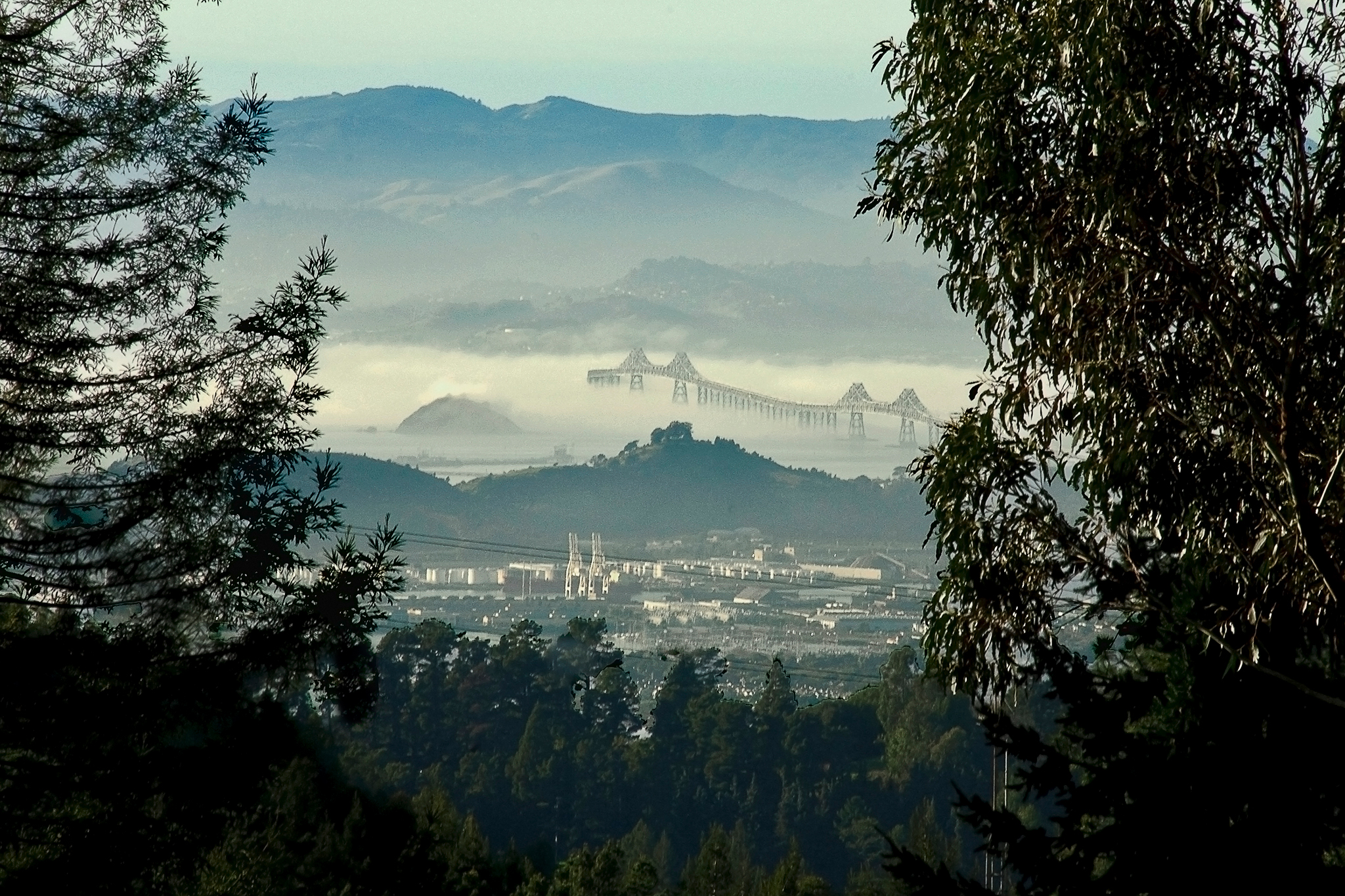 Frank Lloyd Wright's least favorite Bay Area bridge endures
