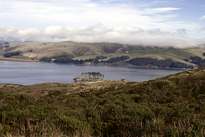 4 adults, 1 child rescued after boat overturns in Bay Area waters