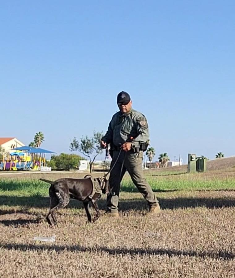 Webb County deputy attending K-9 explosives detection training course