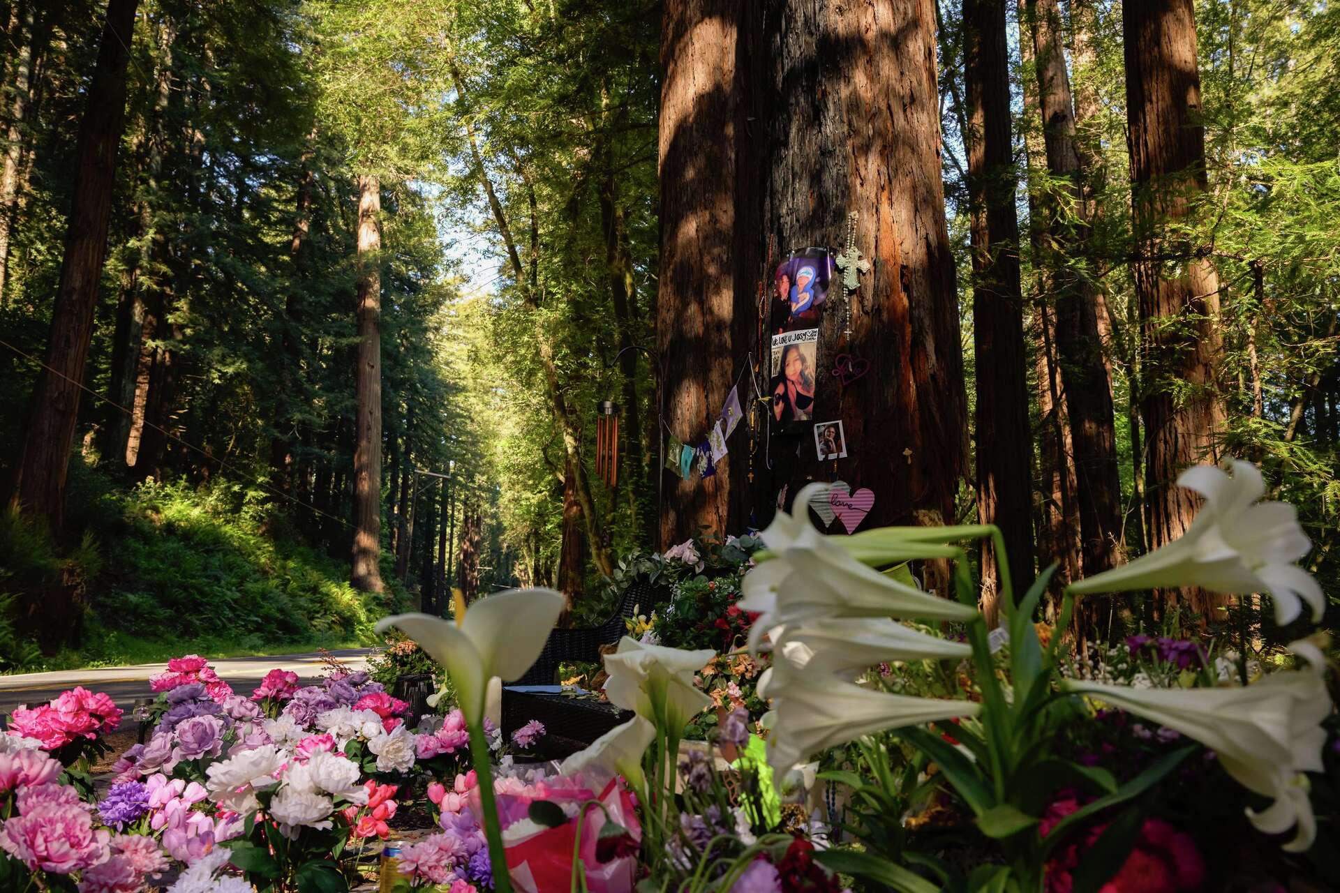 Driver in fiery Marin crash that killed 4 teens has been charged