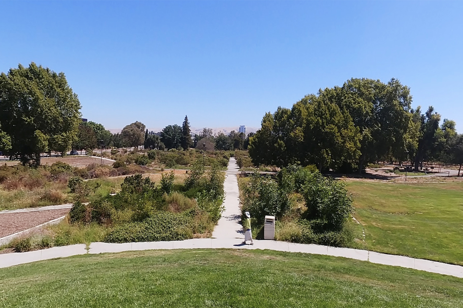 Mystery in Bay Area park after cherished landmark disappears