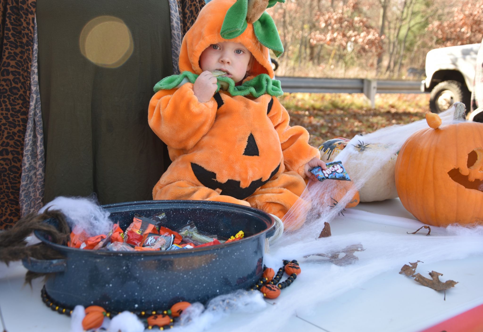Things to do this week in Benzie, Manistee and Mason counties