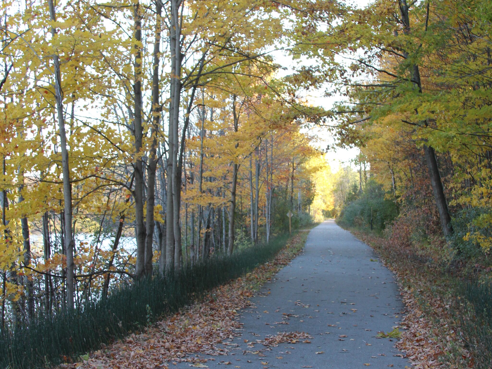 Detroit paying nearly $6M in second death connected to bus driver with Detroit paying nearly $6M in second death connected to bus driver with