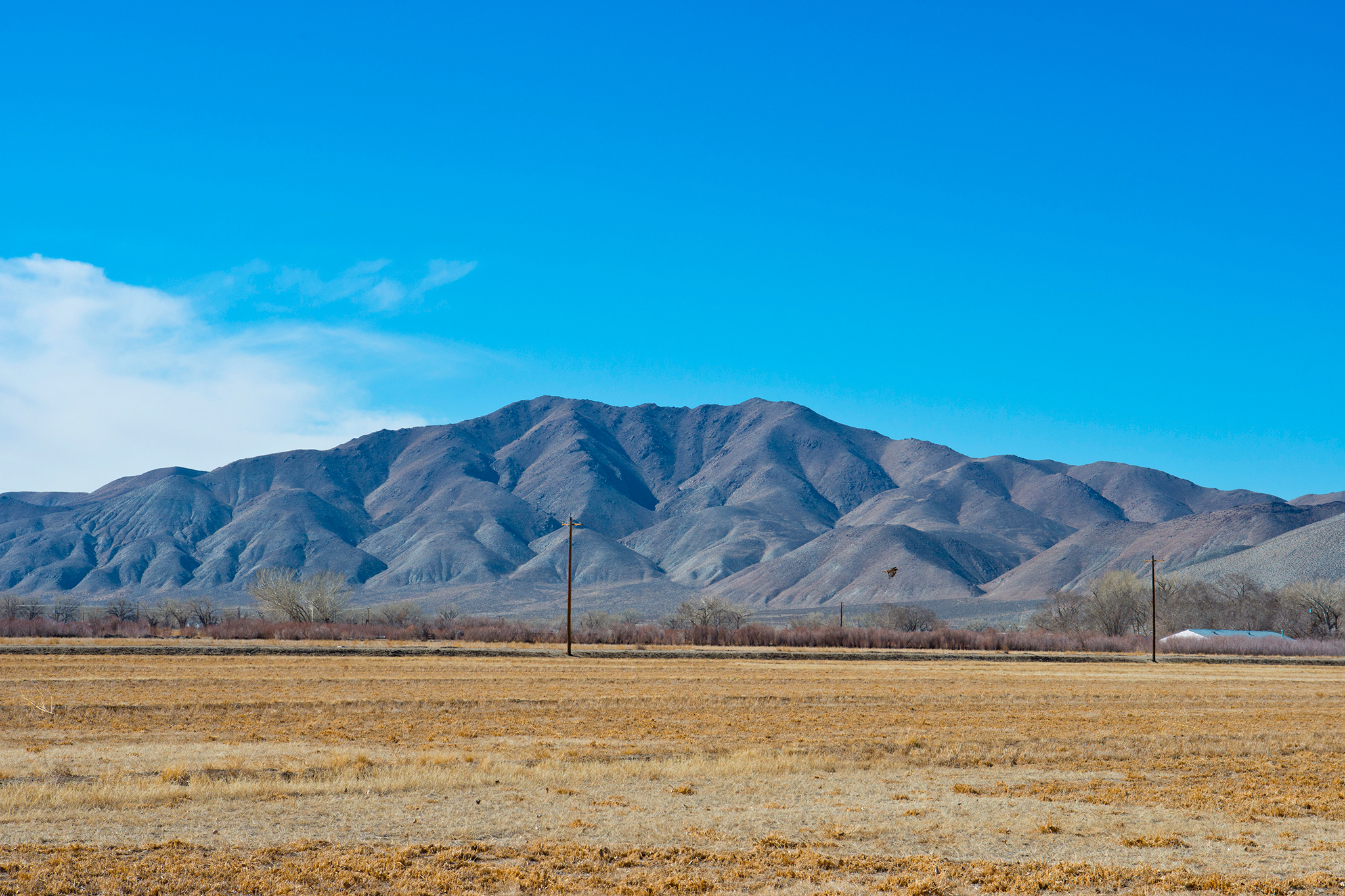 Tahoe commuter town names new government complex after Charlie Kirk