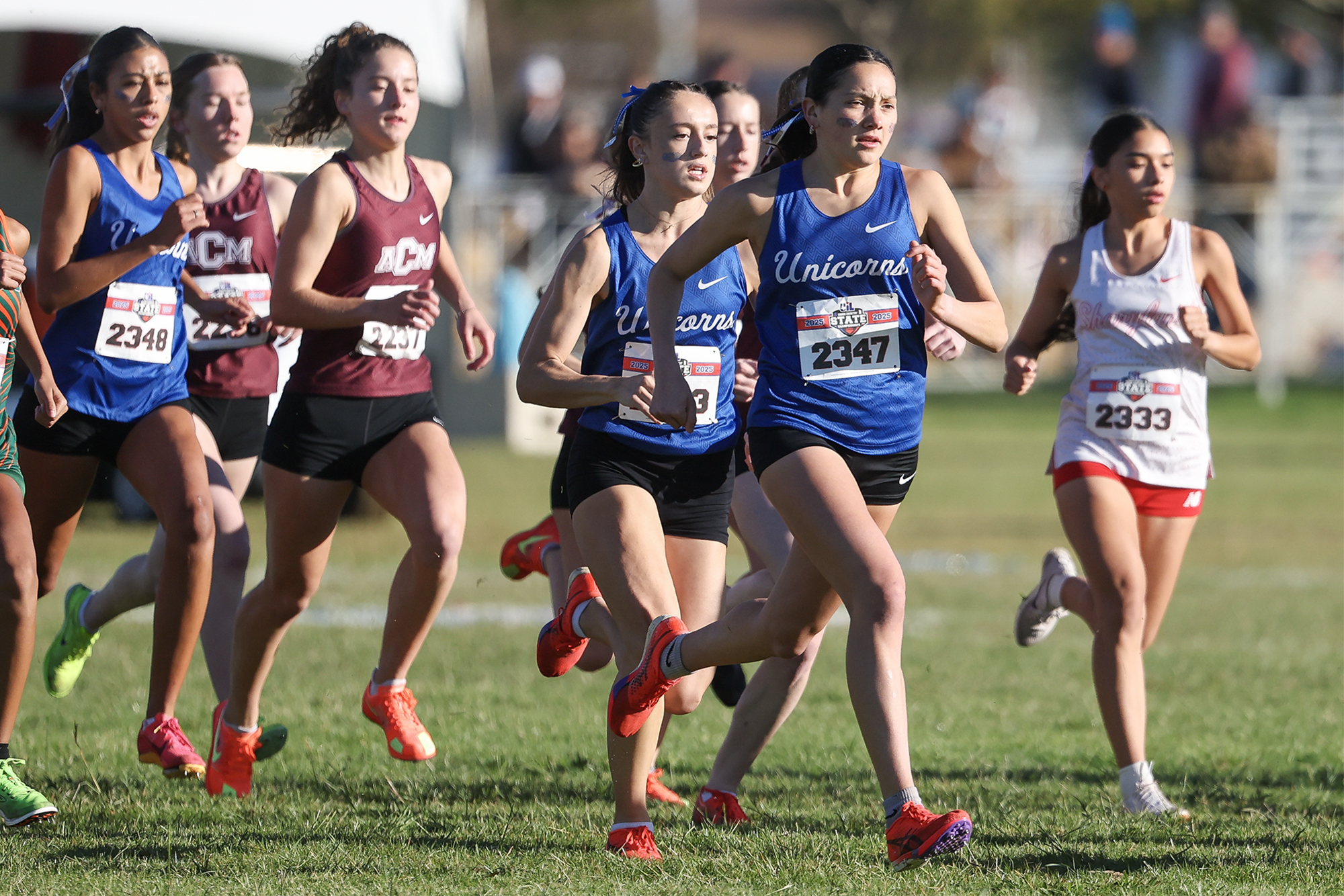Six San Antonio area girls cross country runners to watch in 2026