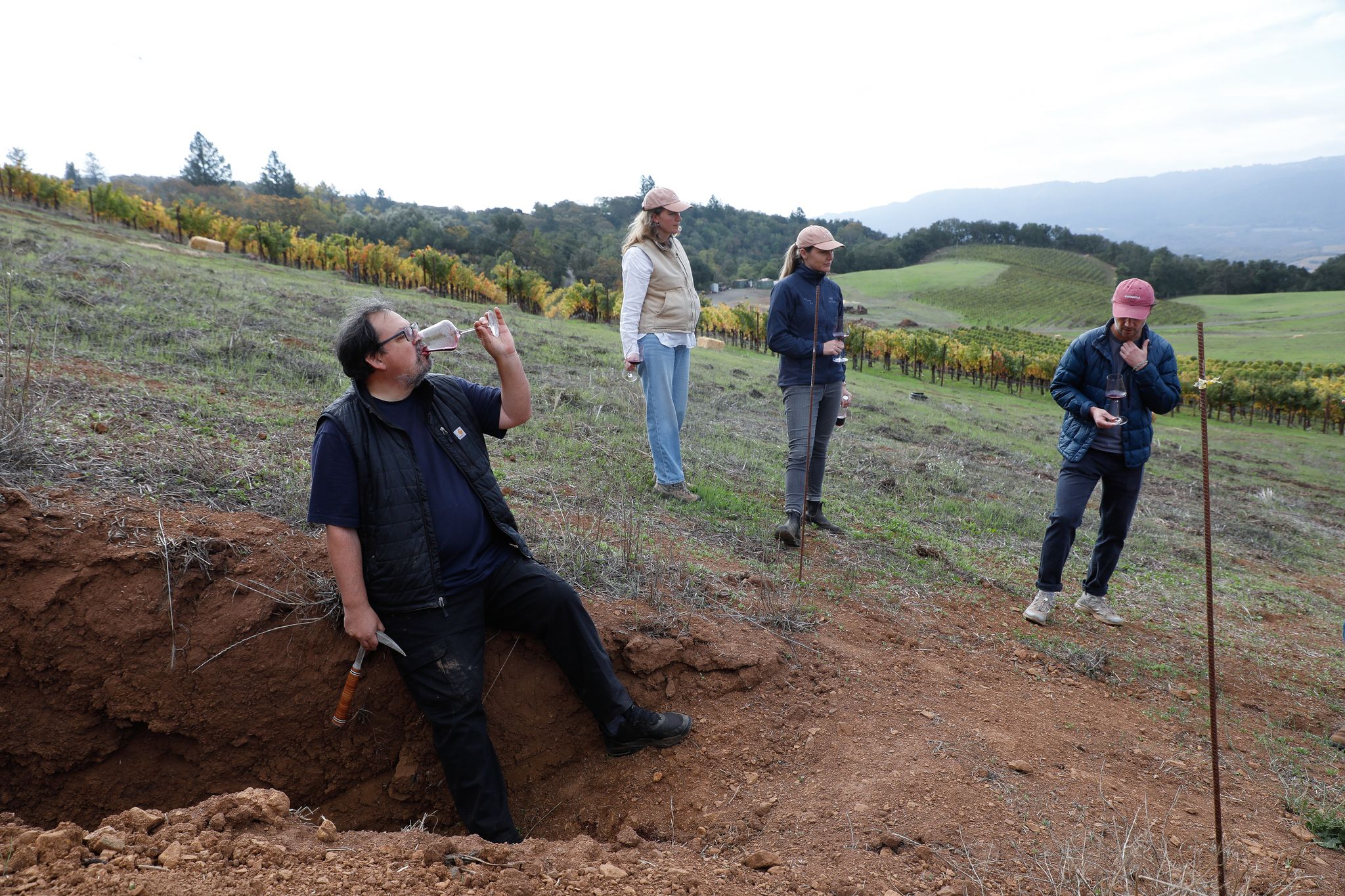 sfchronicle.com - Esther Mobley - How the wine world's most sought-after 'rock' star transformed one California vineyard