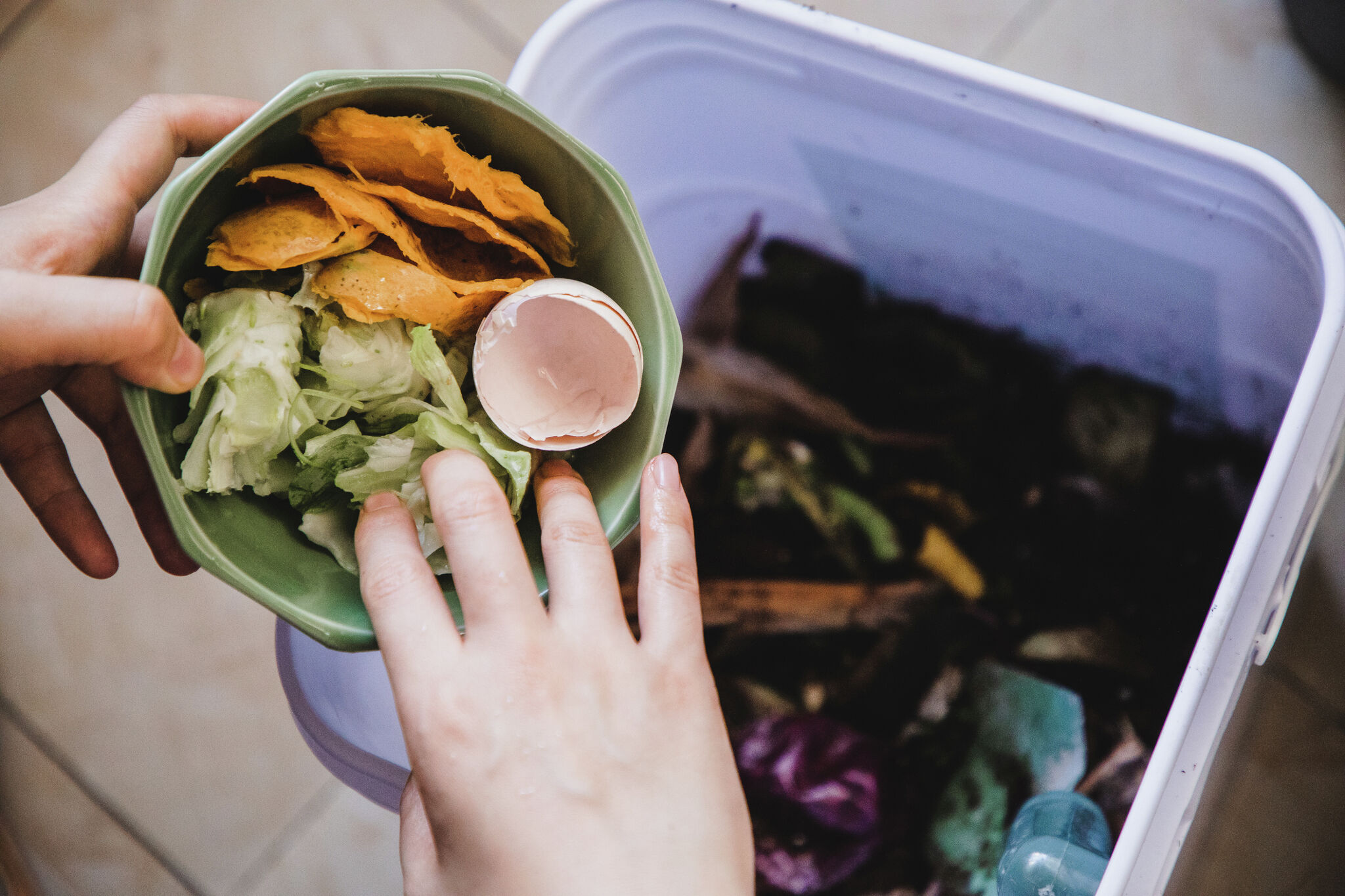 Albany area compost aid FoodScraps360 wants your leftovers