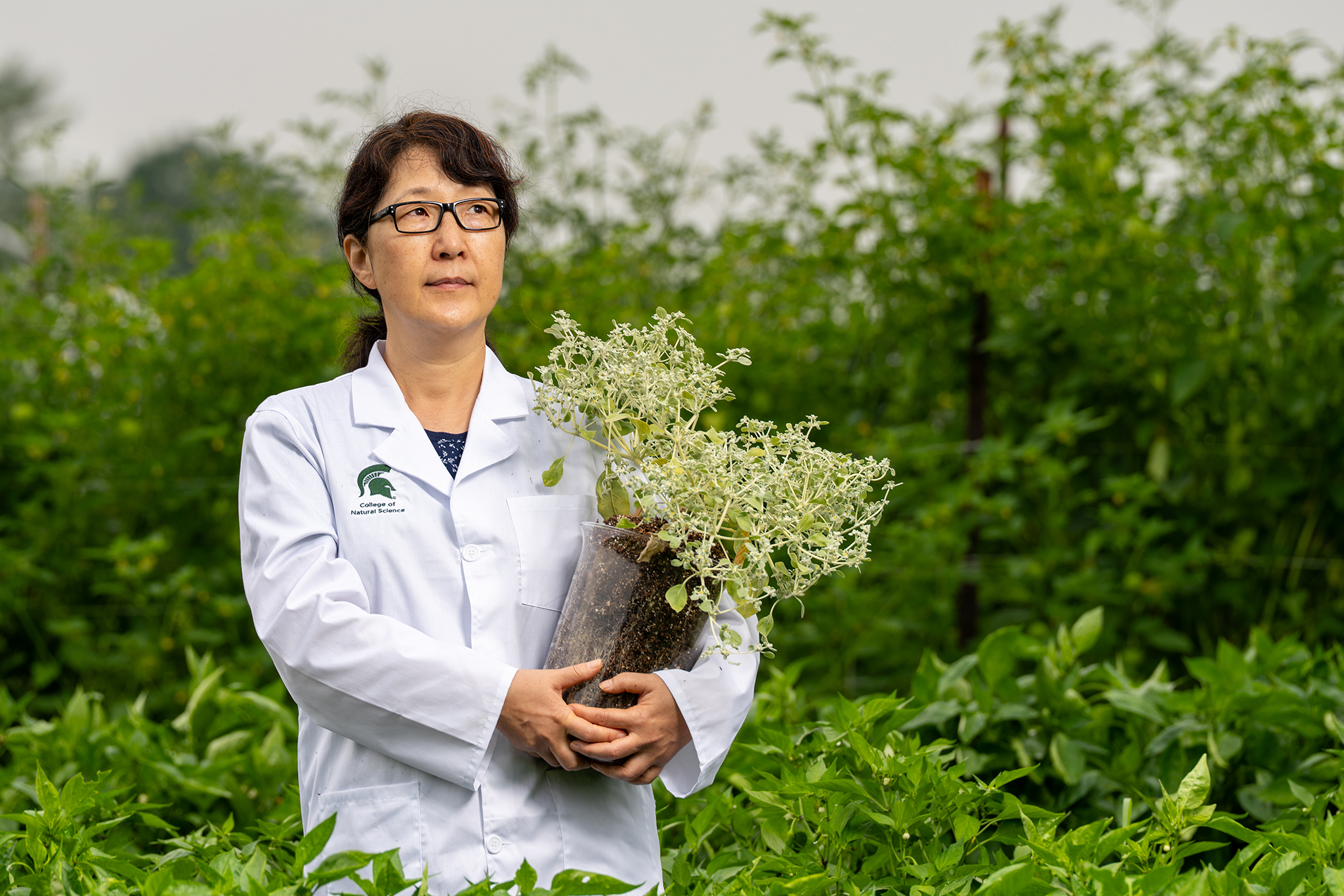Scientists conduct groundbreaking study in Calif.'s Death Valley National Park