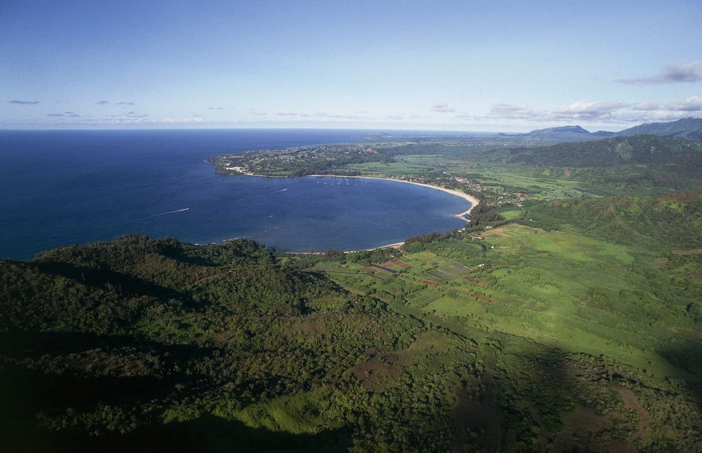Famed Hawaii bay closed after shark attack
