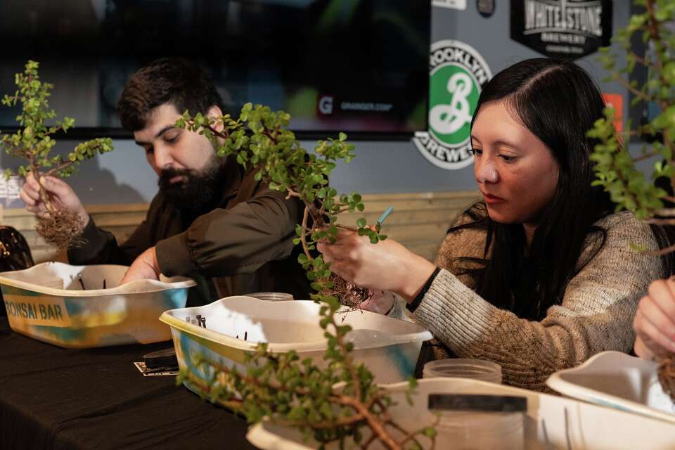 Bonsai Bar brings bonsai workshops to San Antonio bars