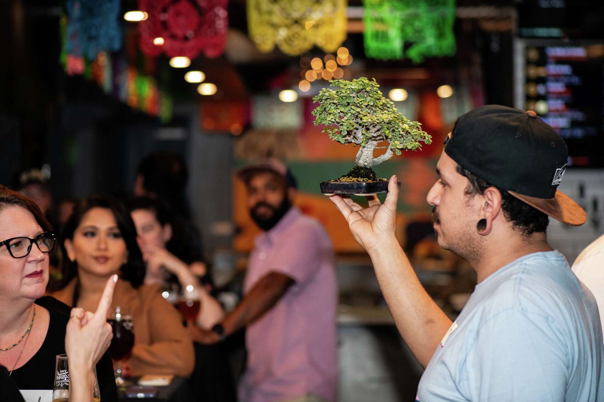 Bonsai Bar brings bonsai workshops to San Antonio bars
