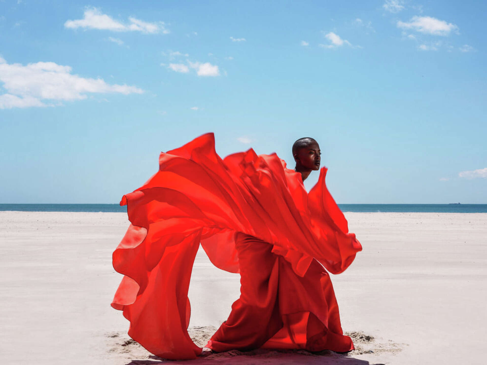 The New Black Vanguard: Photography Between Art and Fashion' celebrates  Black beauty and artists at MoAD, image size:1920x1440