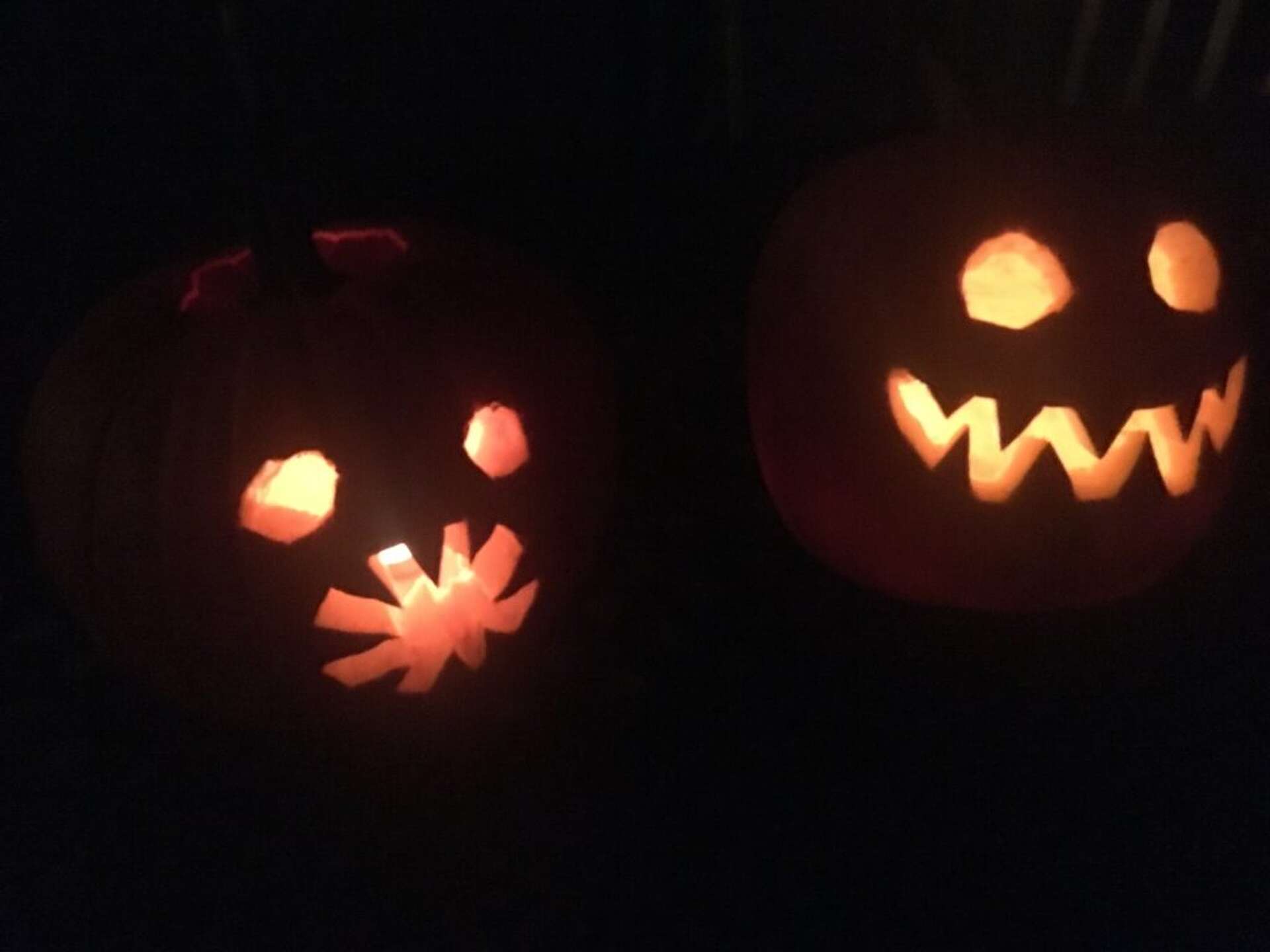 Halloween 2020: Bay Area pumpkin patches, drive-ins and more ways to  celebrate