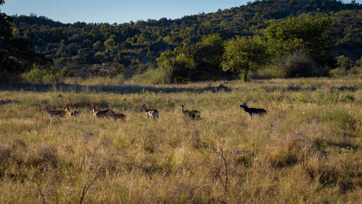 Wright Ranch near Enchanted Rock on the market for $5.6M
