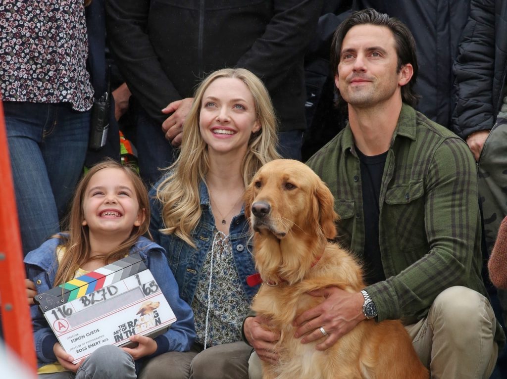 Review: 'The Art of Racing in the Rain' a sloppy wet kiss of a dog movie