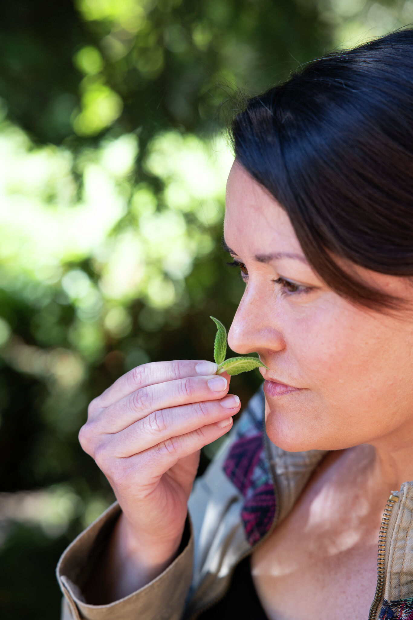 Foraging Monterey's wild bounty - responsibly
