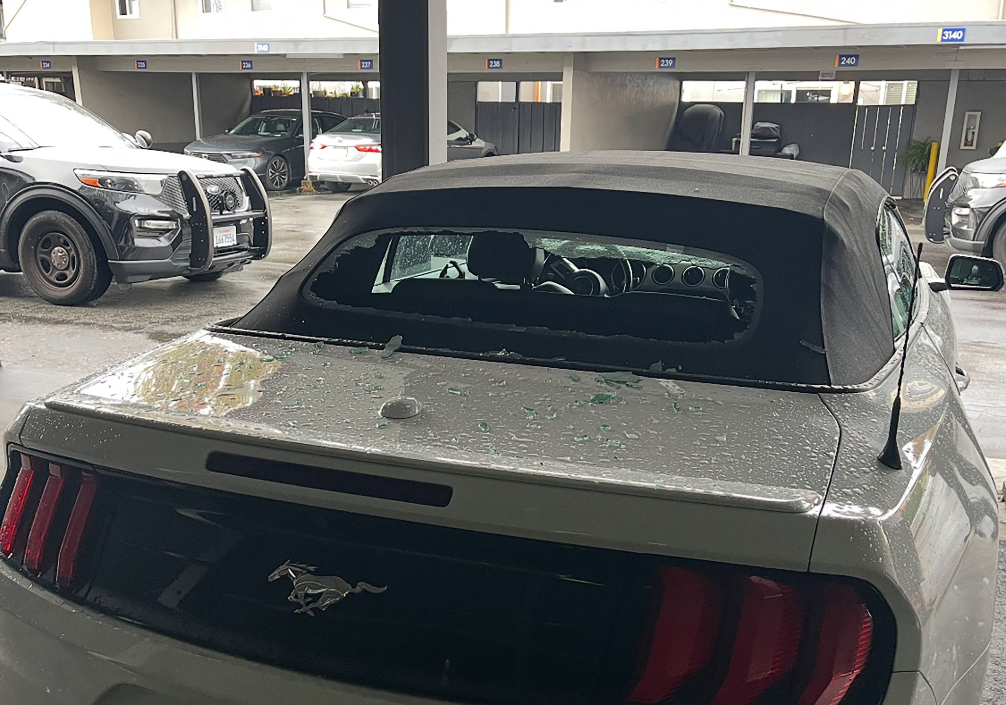 San Mateo: Man Arrested After Allegedly Smashing Roommates Car Window