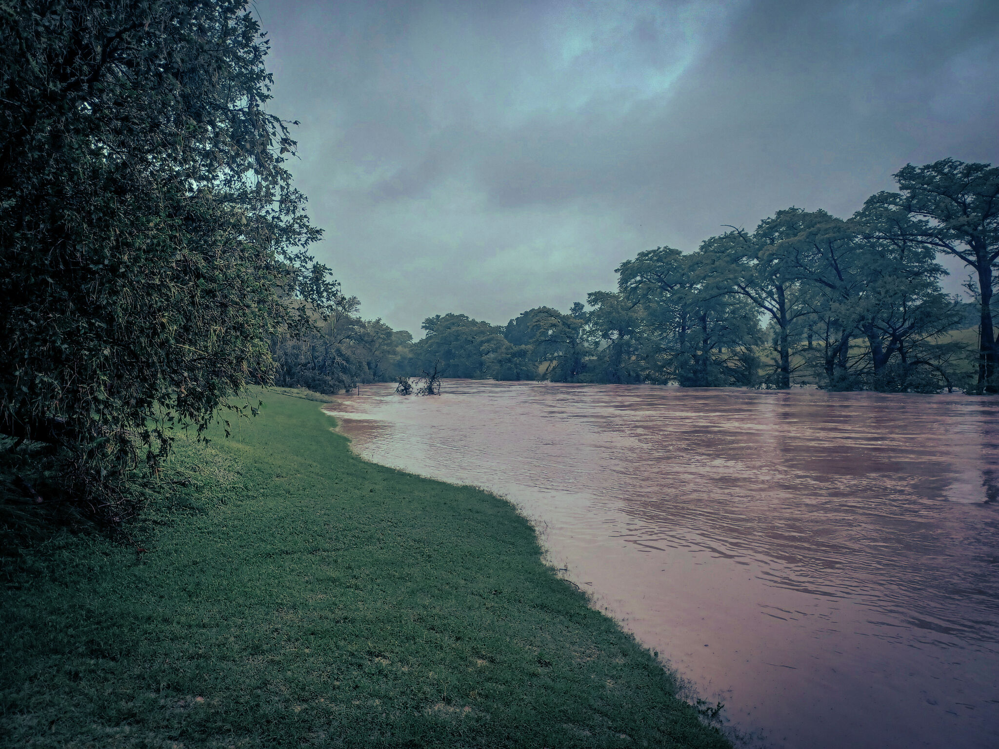 Texas Hill Country faces Level 3 flood risk as storms dump heavy rain