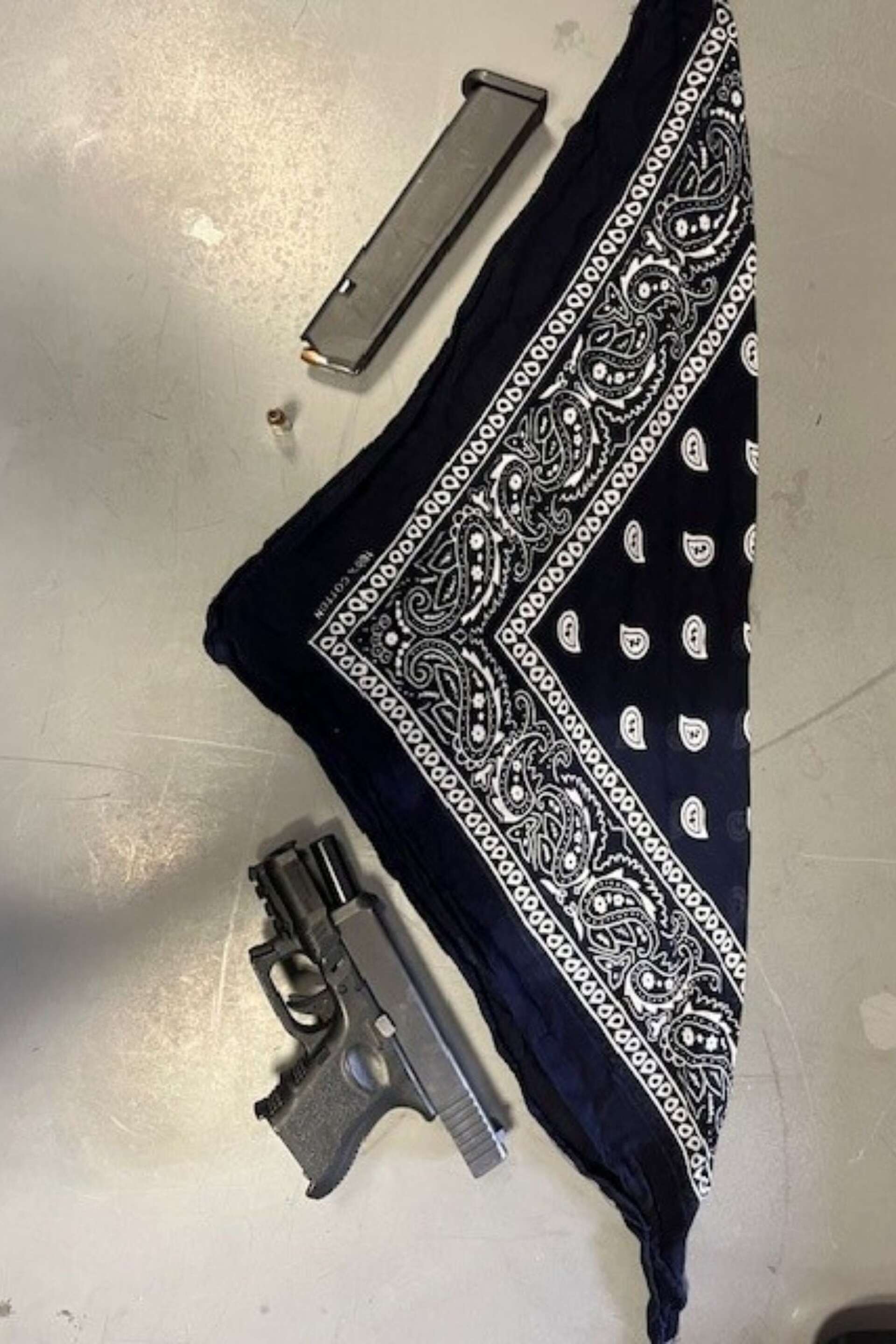Santa Rosa: Police Arrest Several Suspected Gang Members For Alleged ...