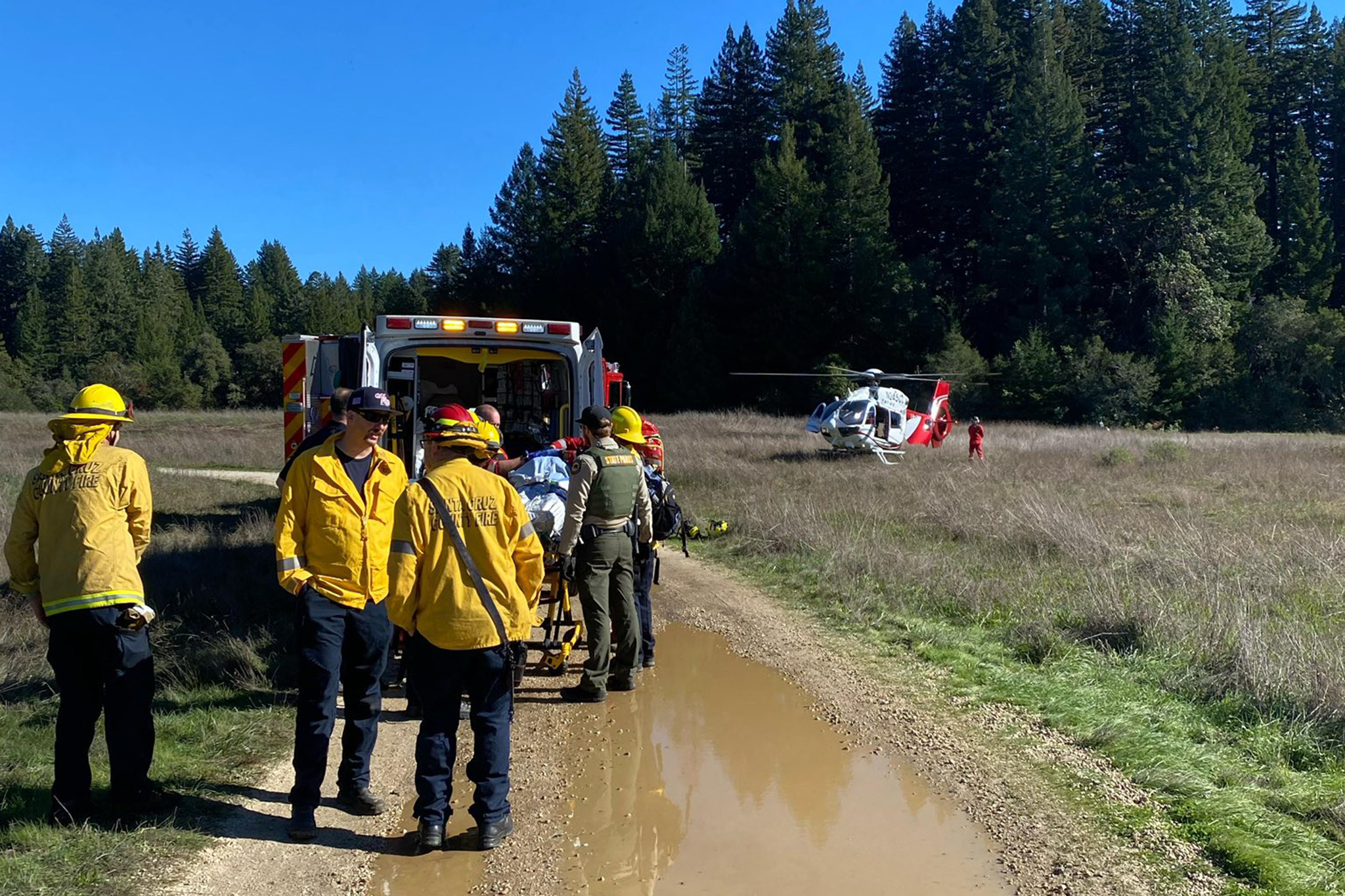 Tree rescue near UC Santa Cruz turns critical after man falls 80 feet