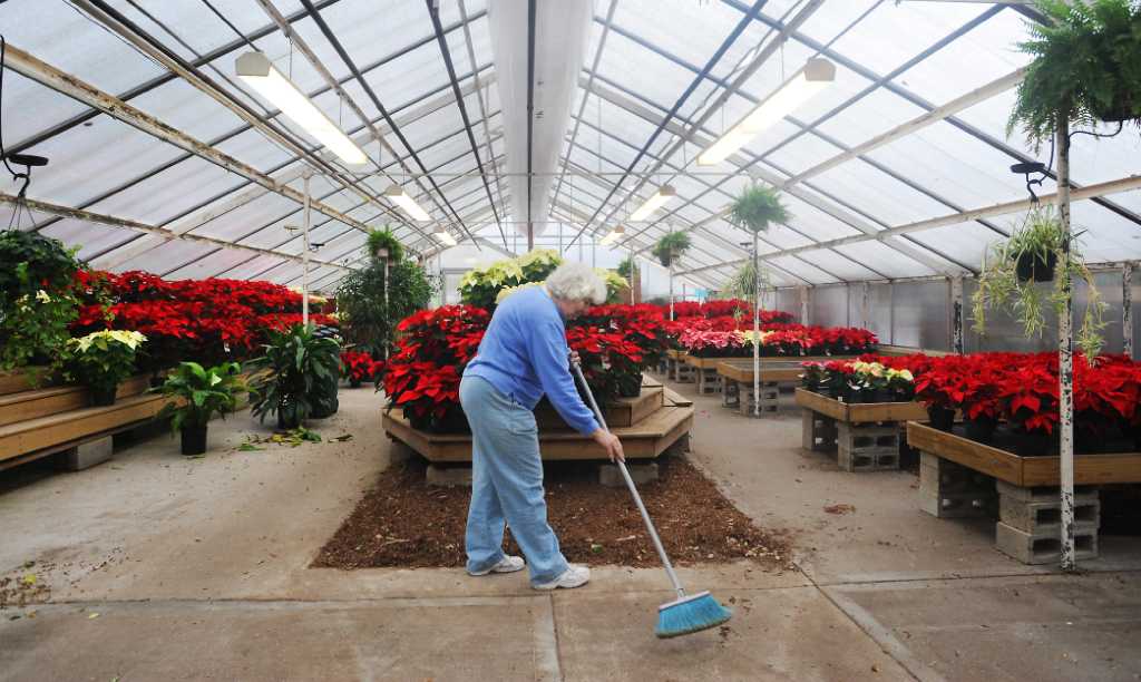 Local vendors ready for Christmas tree season