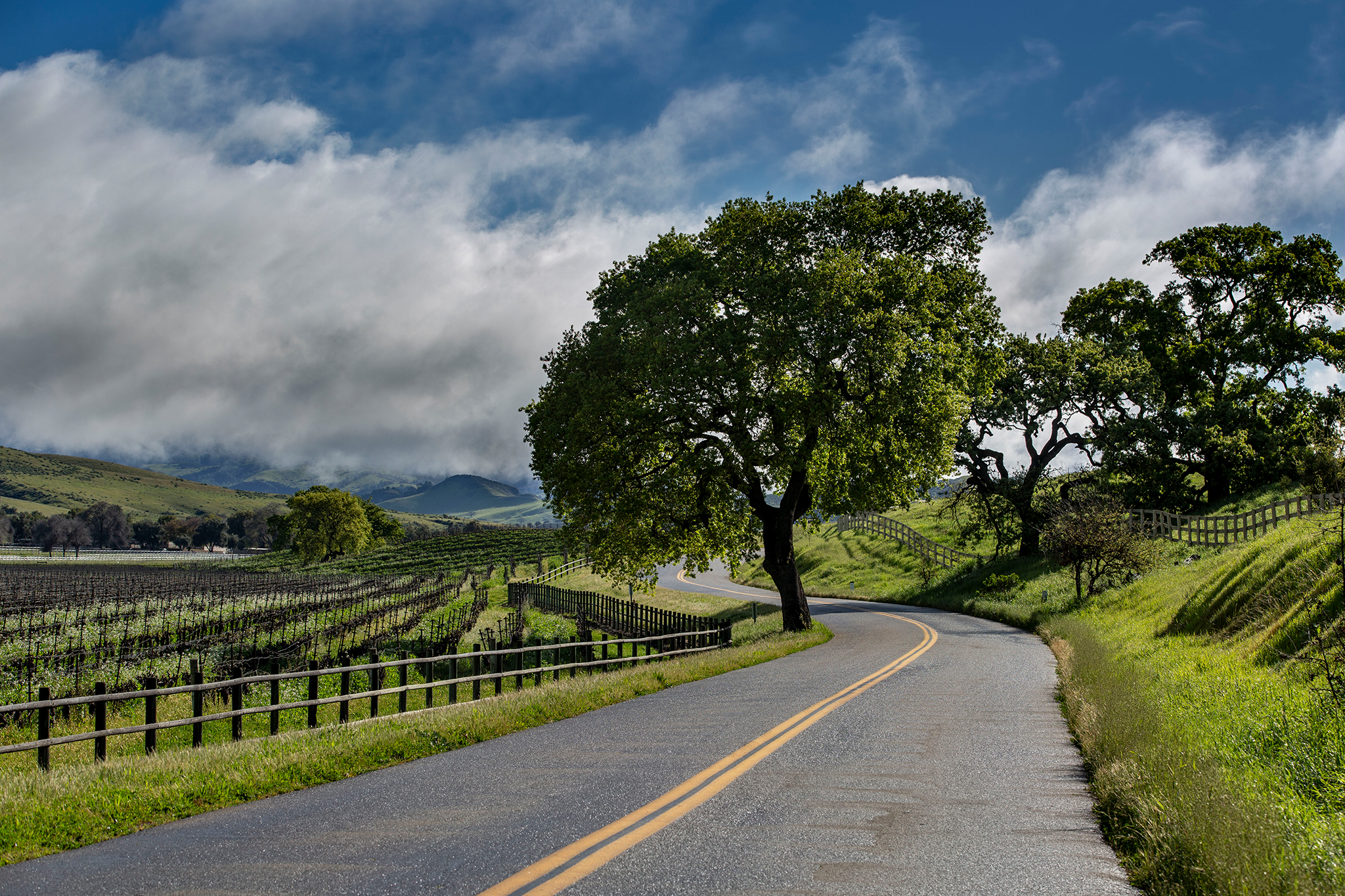 sfgate.com - Julie Tremaine - Overlooked and untapped': A sleepy culinary gem hides on the Central Coast