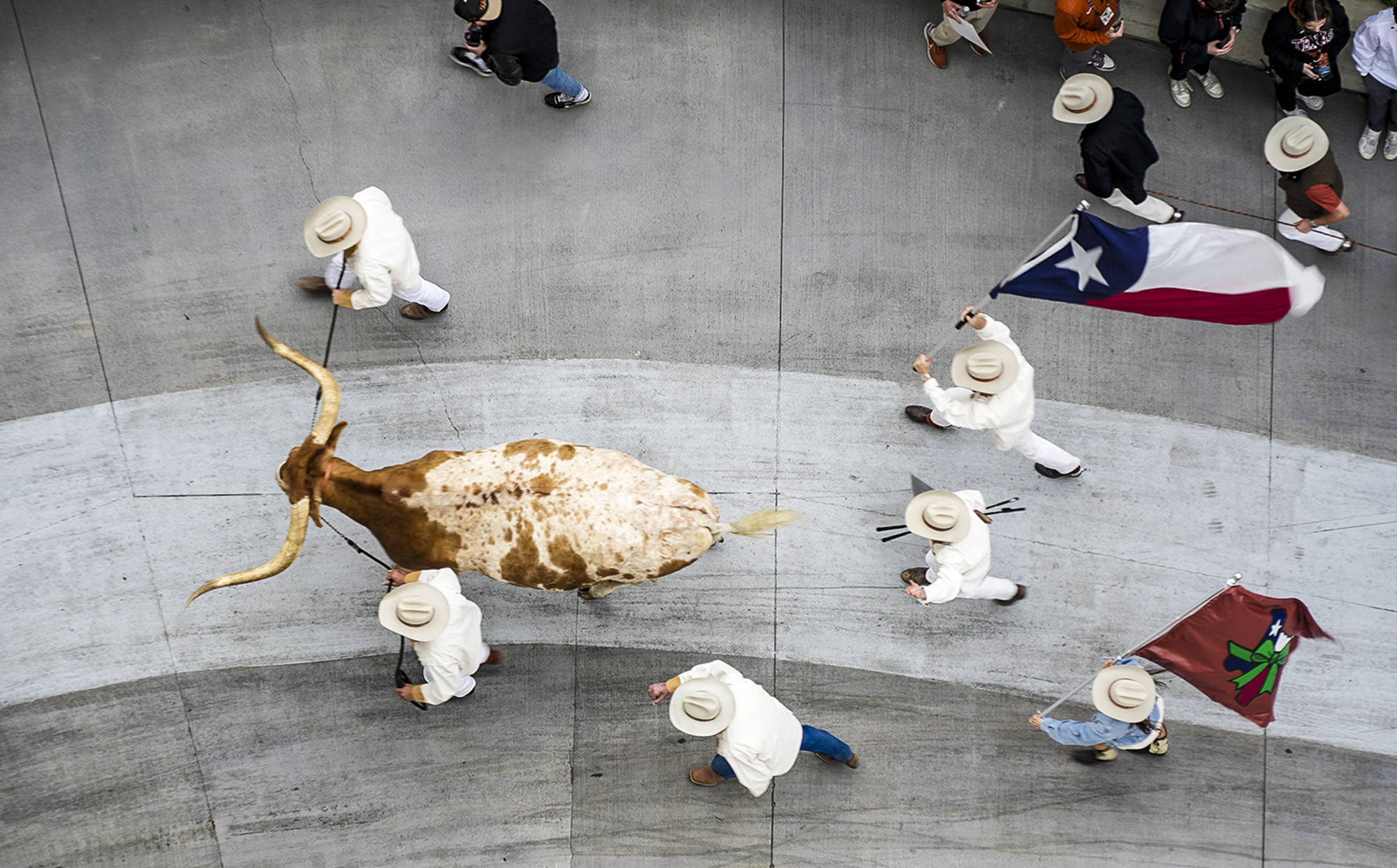 State of the Texas Longhorns: Where UT athletics stands in early 2026