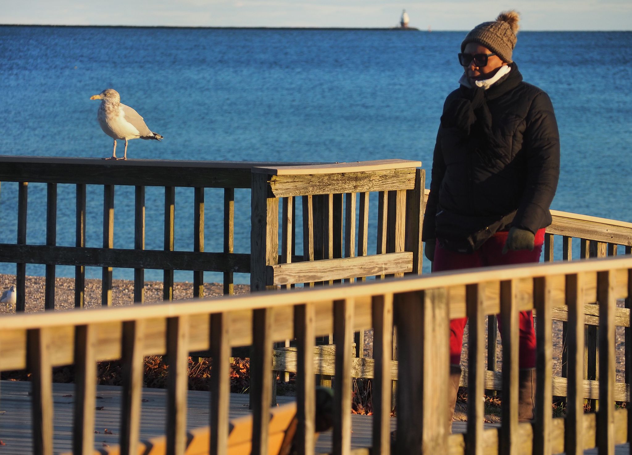 Things to warm up in CT Thursday before a storm arrives, NWS says