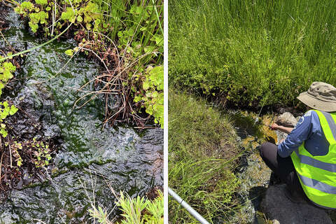 Scientists find a startling discovery in a national park's hot waters