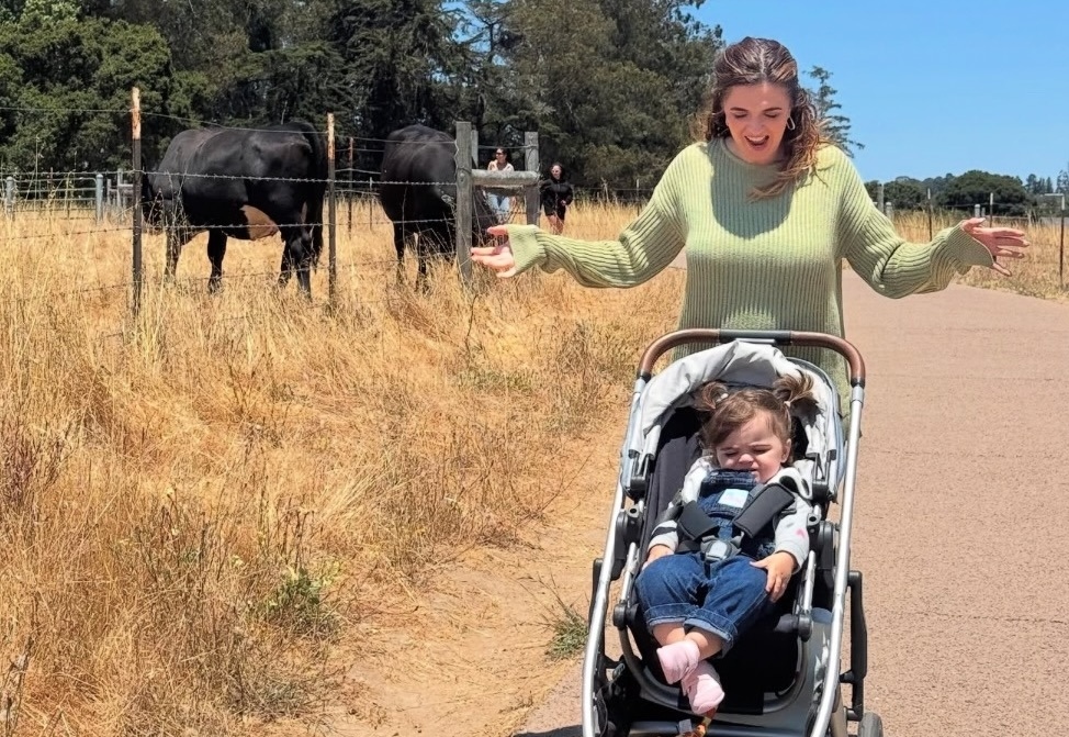 Family identifies mother and baby killed in fiery Bay Area crash involving ...