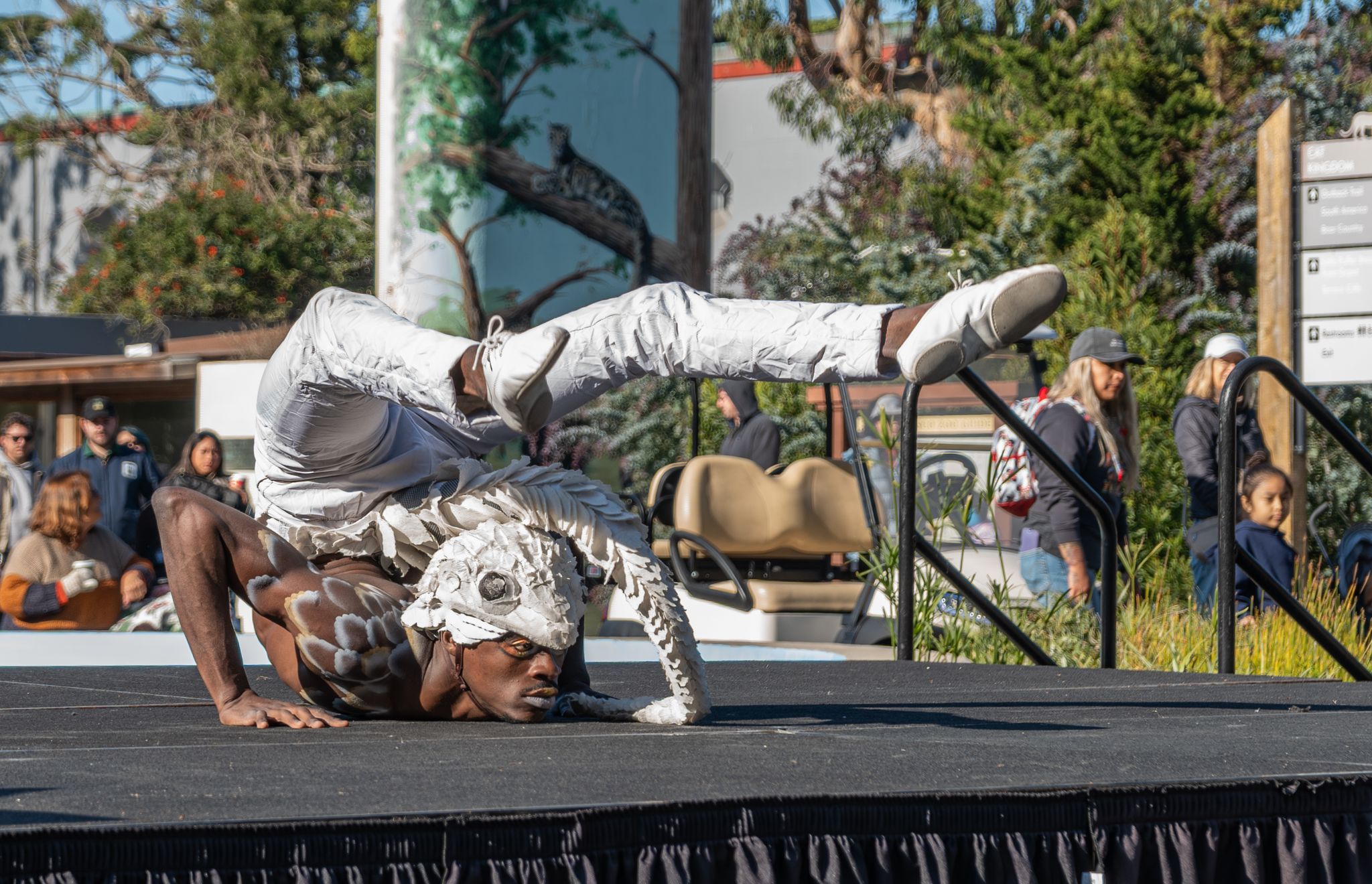 SF: Cirque Du Soleil Brings Wild Performance To San Francisco Zoo