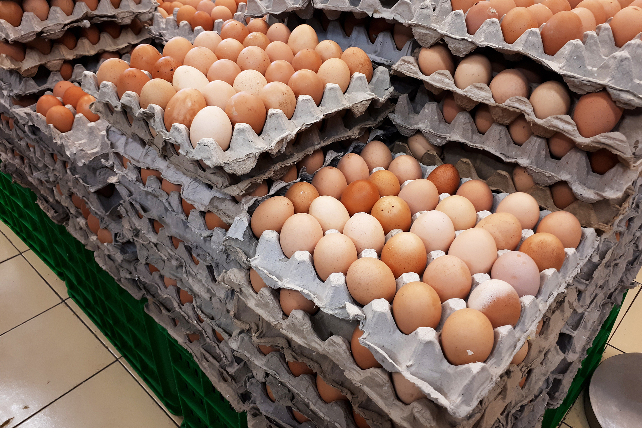 sfgate.com - Olivia Hebert - Salmonella risk triggers recall of Calif. farm's eggs sold at restaurants