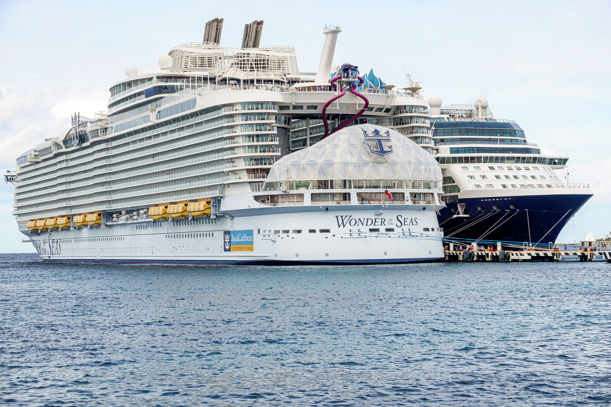 Lawsuit alleges California man's body was 'refrigerated' on board cruise ship