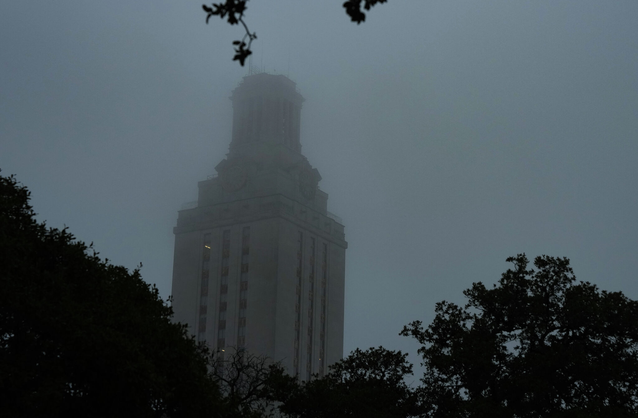 UT Provost fires more than 20 staff in academic affairs cuts last month