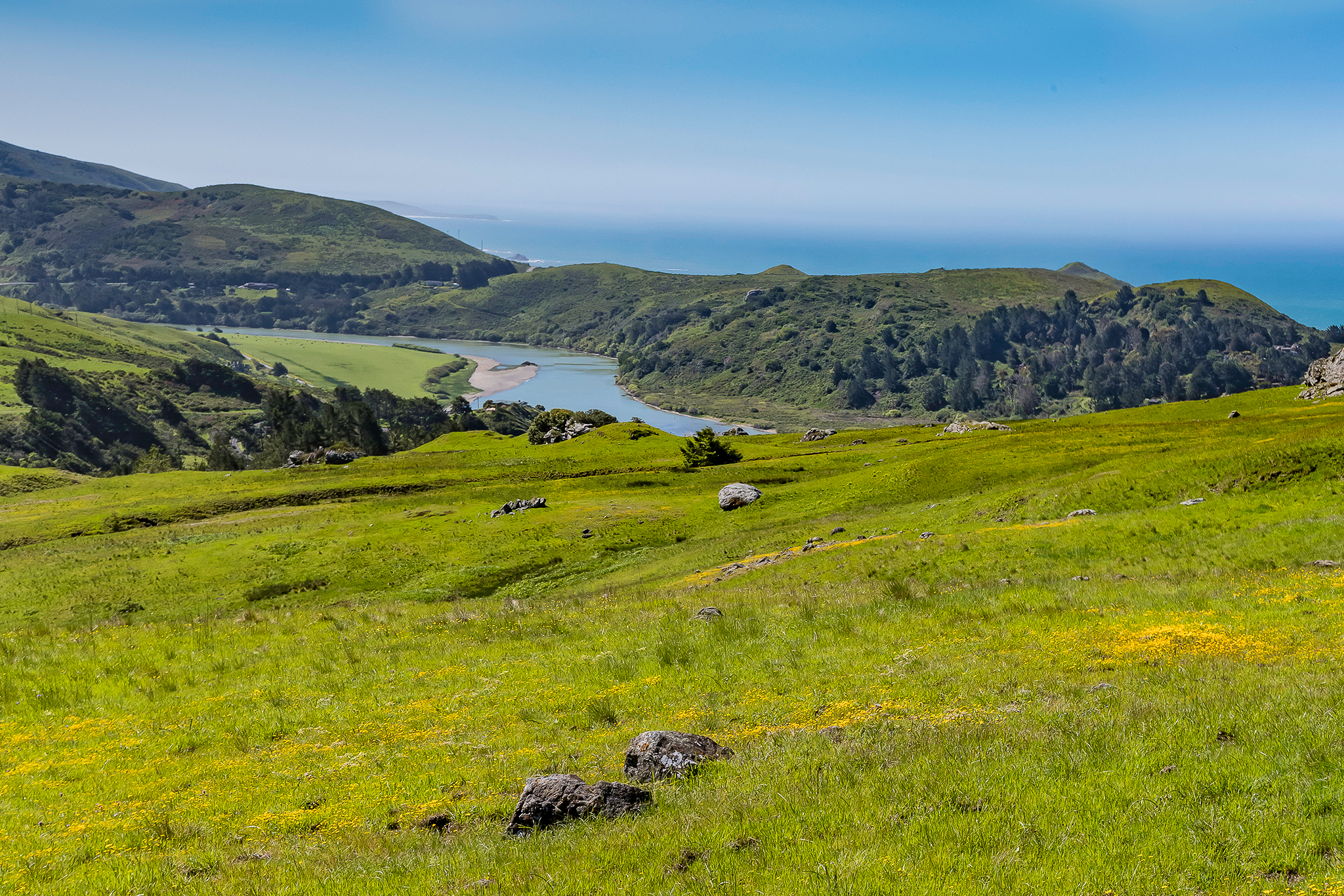 Calif. biologist accidentally discovers endangered fish in Bay Area