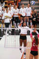 Texas Longhorns outside hitter Torrey Stafford (4) spikes the ball as Texas volleyball plays Indiana in a Sweet 16 NCAA Tournament match in Gregory Gymnasium in Austin, Friday, Dec. 12, 2025. The Longhorns will advance to Elite Eight with a 3-0 win.