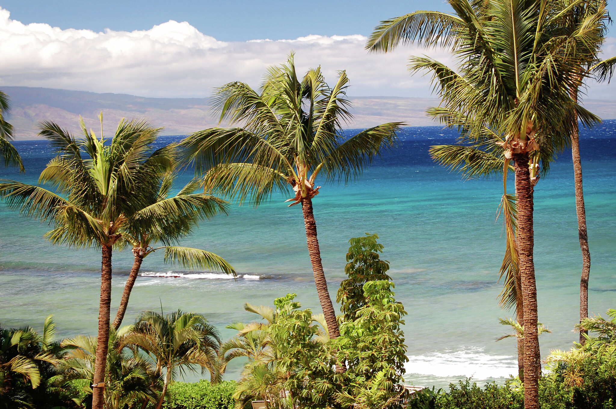 Maui to phase out more than 6,200 short-term rentals