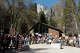 People demonstrate during a protest against federal employee layoffs at Yosemite National Park, Calif., on March 1, 2025.