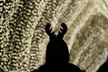 Golden Gate Park's dazzling holiday light display brings joy to the season