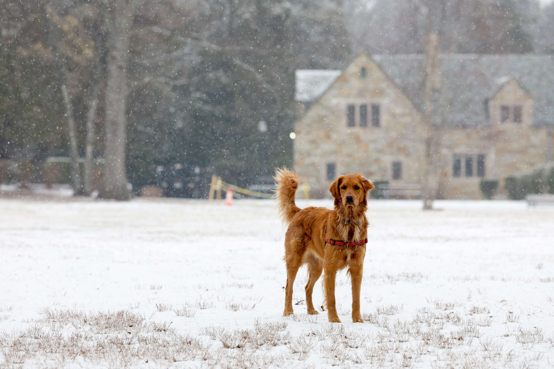 Snow in CT causes slick roads, school closures: Live updates