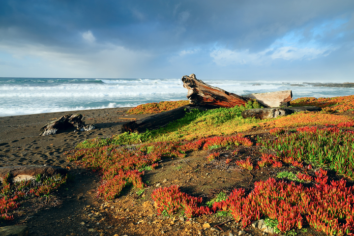 Woman in her 70s swept away by large wave along California coast